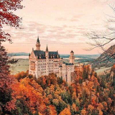 BO半岛综合app安全下载下载手机版