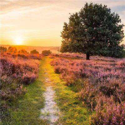 爱游戏平台官方网站截图